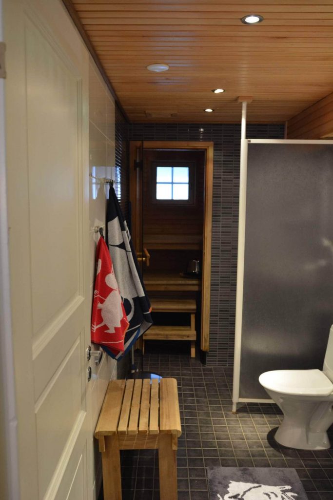 Polar Star Studio – Shower and sauna