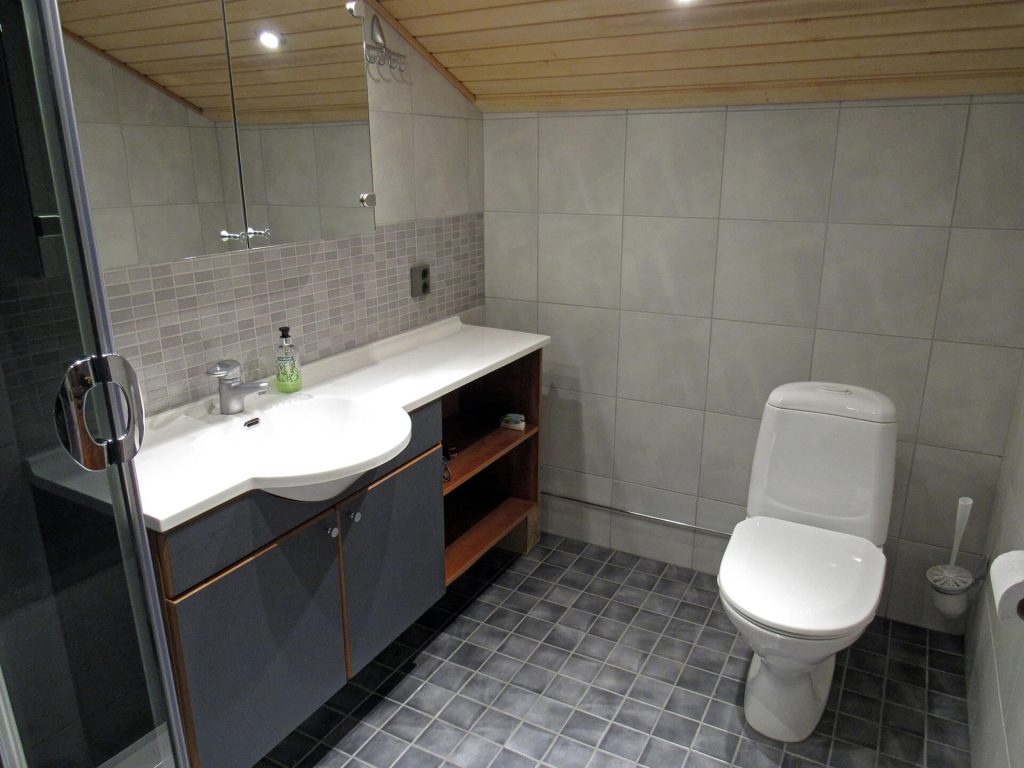 Bears Lodge - bathroom