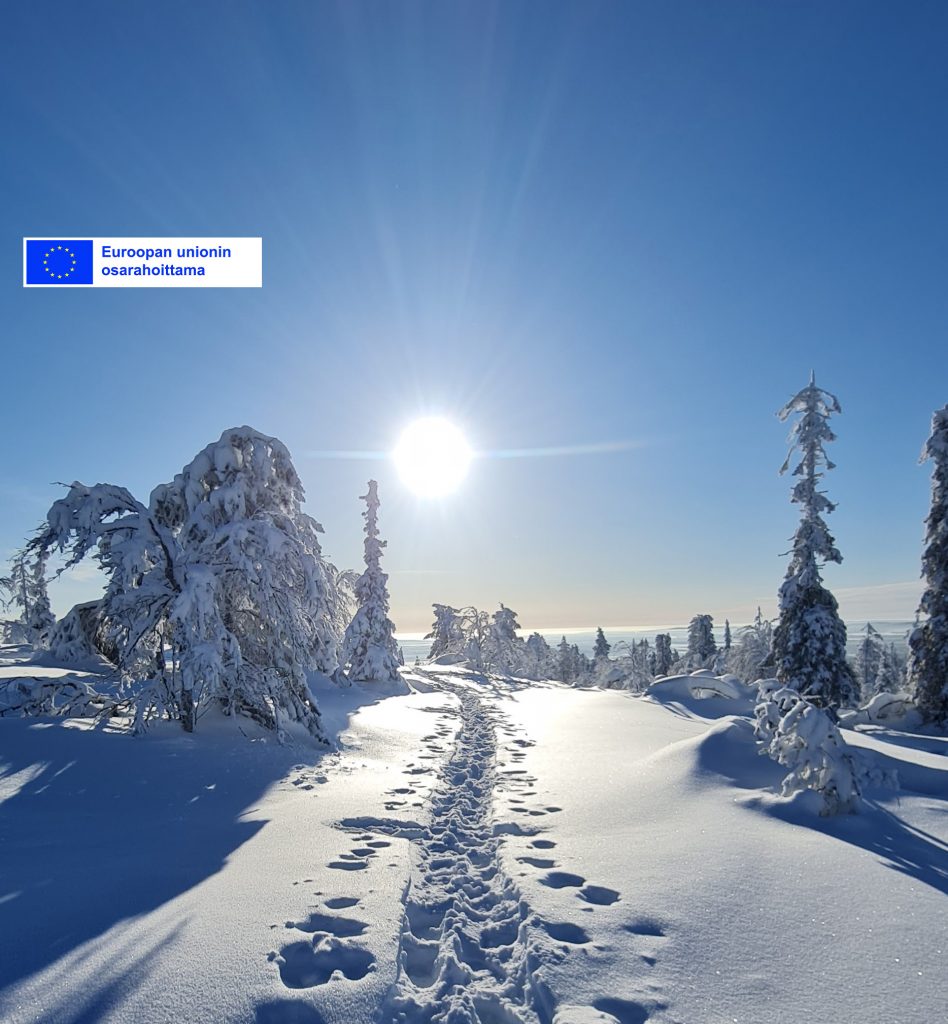 Wellness Retreats in Lapland Finland, Biking Tours in Lapland Finland, Accommodation in Lapland Finland, Travel Experiences in Lapland Finland Polar Star Travel
