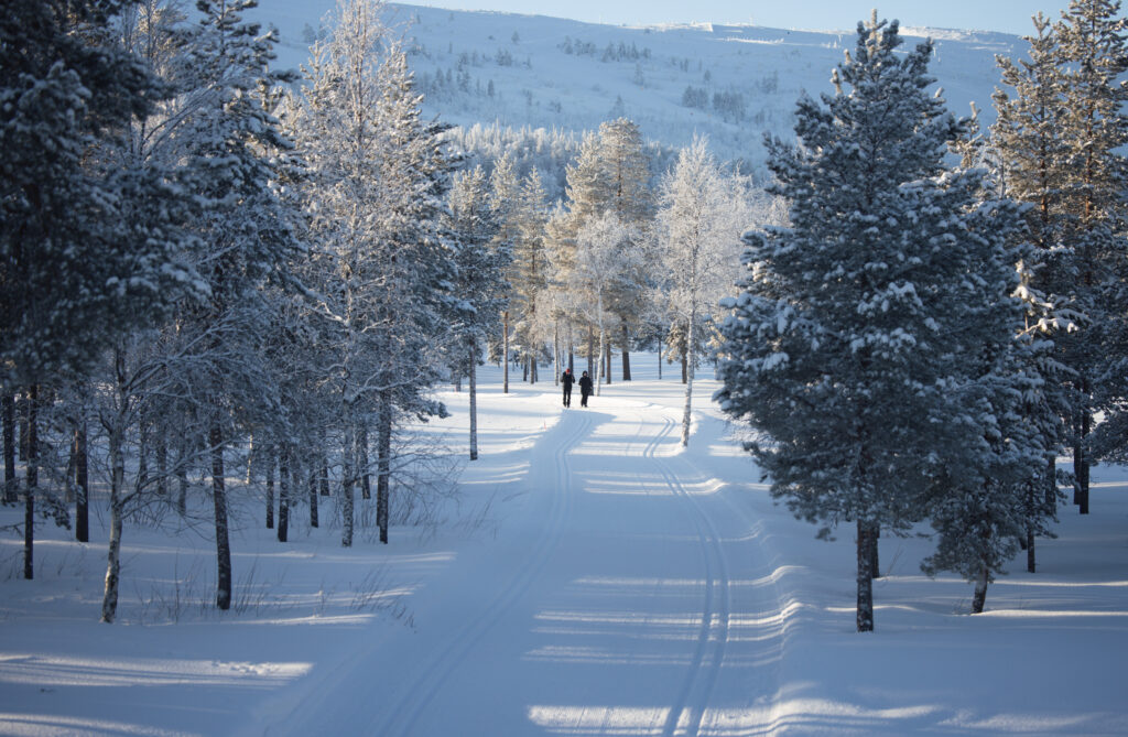 Wellness Retreats in Lapland Finland, Biking Tours in Lapland Finland, Accommodation in Lapland Finland, Travel Experiences in Lapland Finland Polar Star Travel