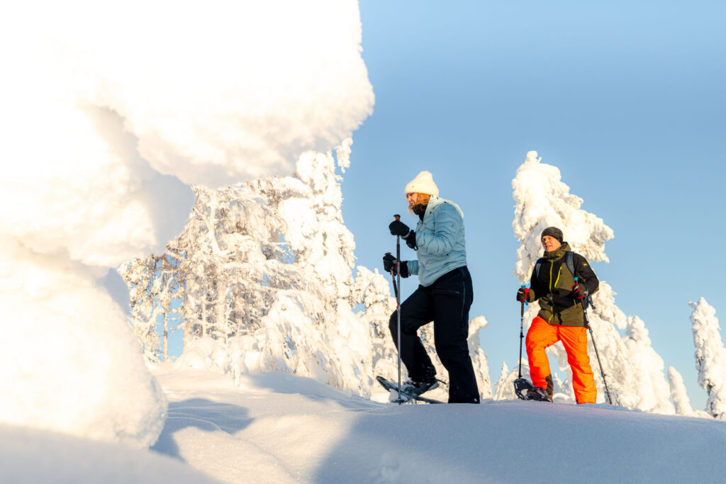 Wellness Retreats in Lapland Finland, Biking Tours in Lapland Finland, Accommodation in Lapland Finland, Travel Experiences in Lapland Finland Polar Star Travel